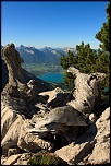-img_2799.jpg