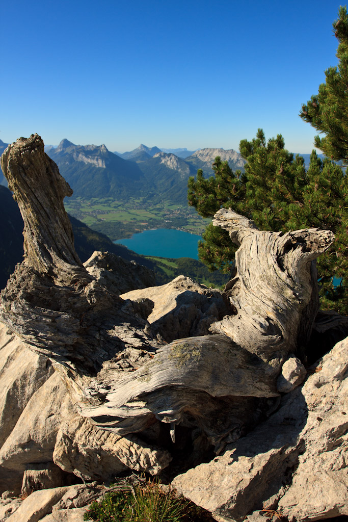 -img_2799.jpg