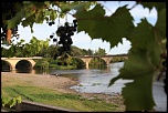 -img_0290.jpg