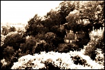 -img_0277-1.jpg