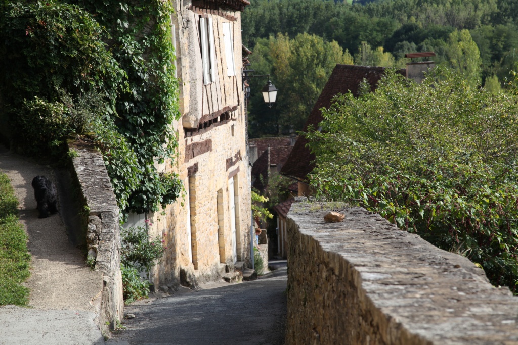-img_0278.jpg
