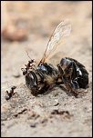-img_2773.jpg