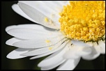 -img_2378.jpg