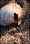 -img_2409.jpg