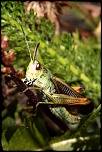 -img_9167.jpg