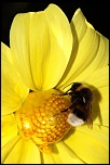 -img_7008.jpg