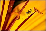-img_5686.jpg