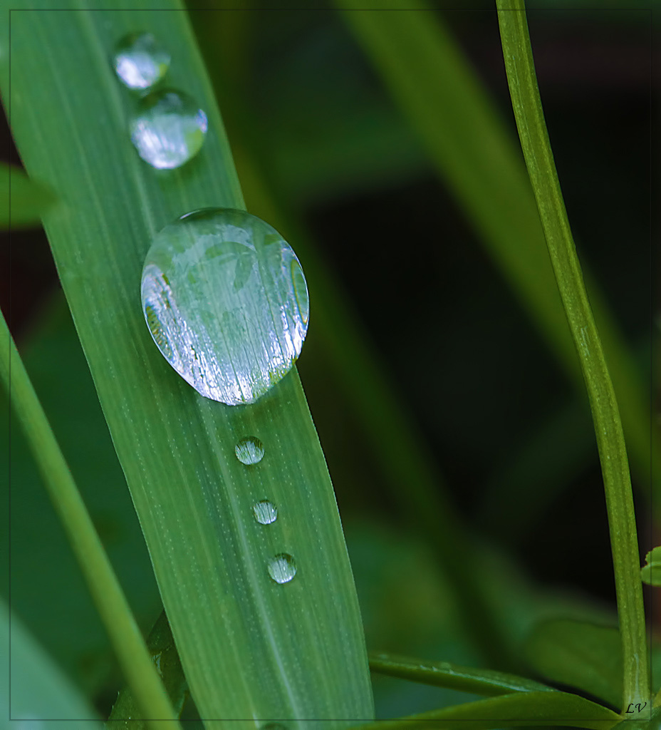 Diffuseur-img_9064-copie.jpg