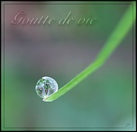 Diffuseur-img_9301-bulle-de-vie.jpg