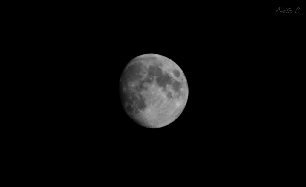 -img_7766.jpg