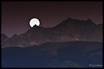 -img_2910-2.jpg