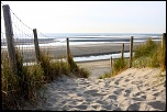 -img_5246.jpg