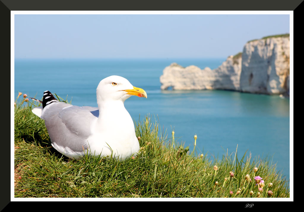 nettoyage capteurs-etretat.jpg
