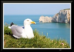 nettoyage capteurs-etretat.jpg