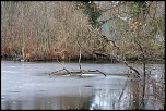 -marais-3.jpg