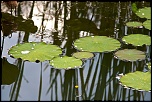 -jardins-deau-2.jpg