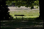 -courson-2.jpg