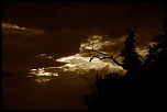 -les-monges-3.jpg