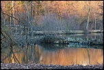 -marais-4.jpg