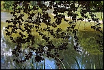 -courson-3.jpg