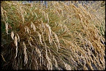 -ardeche-2.jpg