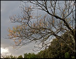 -les-monges-1.jpg