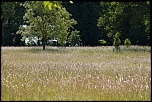 -courson-1.jpg