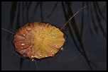 -jardins-deau-3.jpg