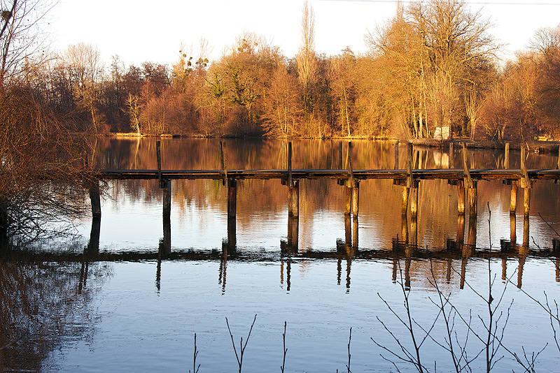 -marais-5.jpg