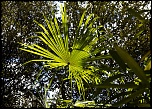 -cadiot-3.jpg