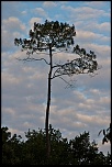 -les-monges-2.jpg