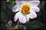 -img_2276.jpg