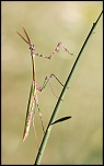 -img_5566.jpg