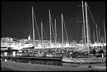 IMG 0545