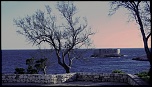 IMG 0439b