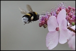 CAPTURE ONE PRO-2401.jpg