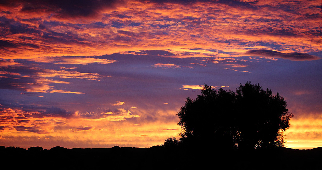 -crepuscule-provencal-bis.jpg