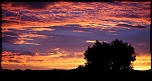 -crepuscule-provencal-bis.jpg