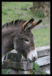 Besoin d aide-img_0676.jpg