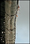 A propos de la galerie-img_7658_modifie-3.jpg