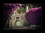 Profondeur de champs-2413.jpg