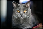 -img_4479_1.jpg
