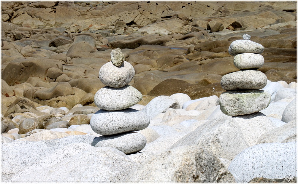 -zen_3.jpg