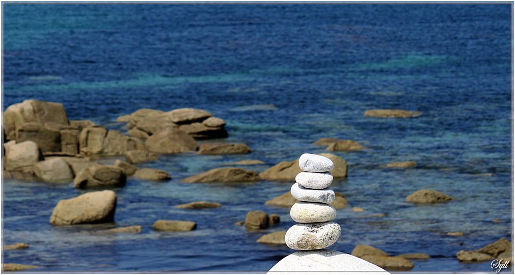 -zen_6.jpg