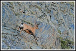 Je l&#39;ai-img_9261.1-bordermaker.jpg