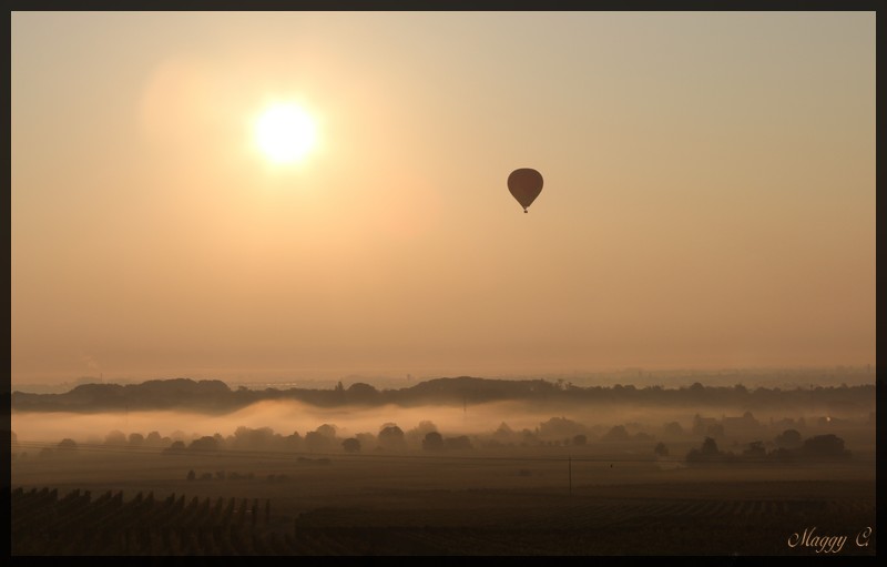 -brume-matinale-au-bord-des-vignes_8876.jpg