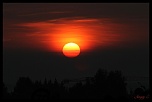 -un-beau-soleil-orange-sur-lalsace_8595.jpg