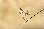 -img_0712000.jpg