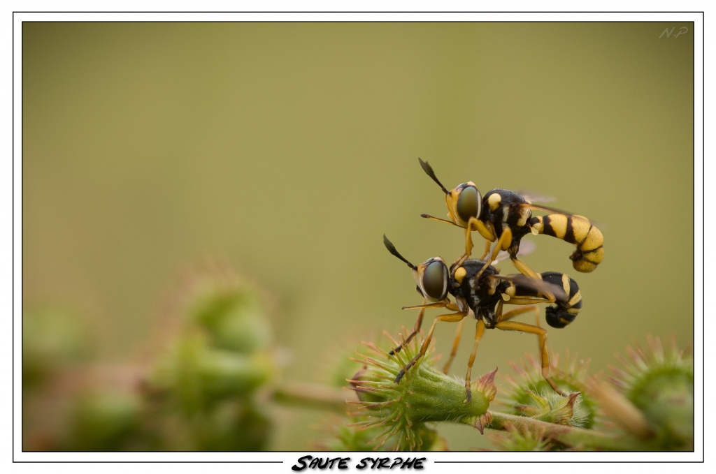 Cherche Objectif pour 300d-_mg_7417.jpg
