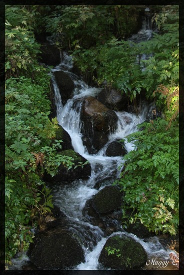 -cascade-dans-le-bois-d-alsace_9005.jpg